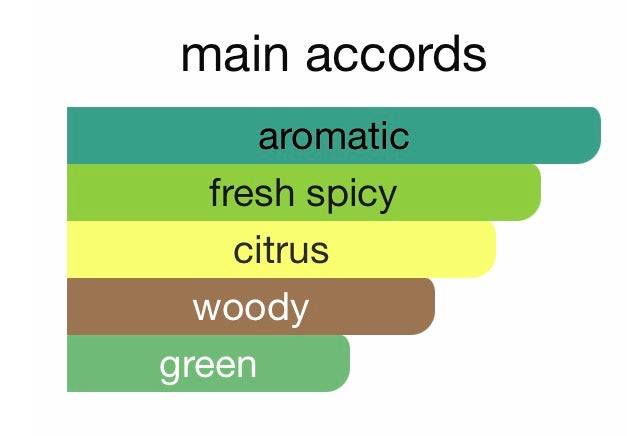 Louis Vuitton On the Beach