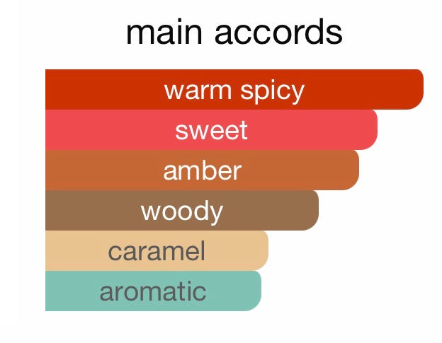 Azzaro The Most Wanted Intense