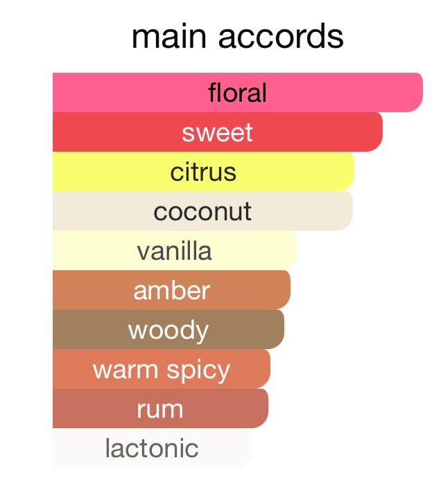 City Rhythm Miami Tropical Confessions