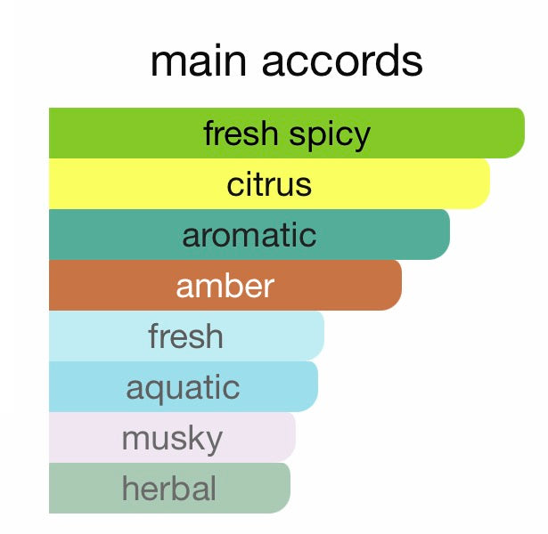 Louis Vuitton L'immensite