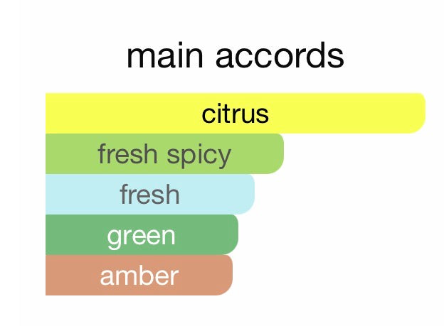 Louis Vuitton Imagination