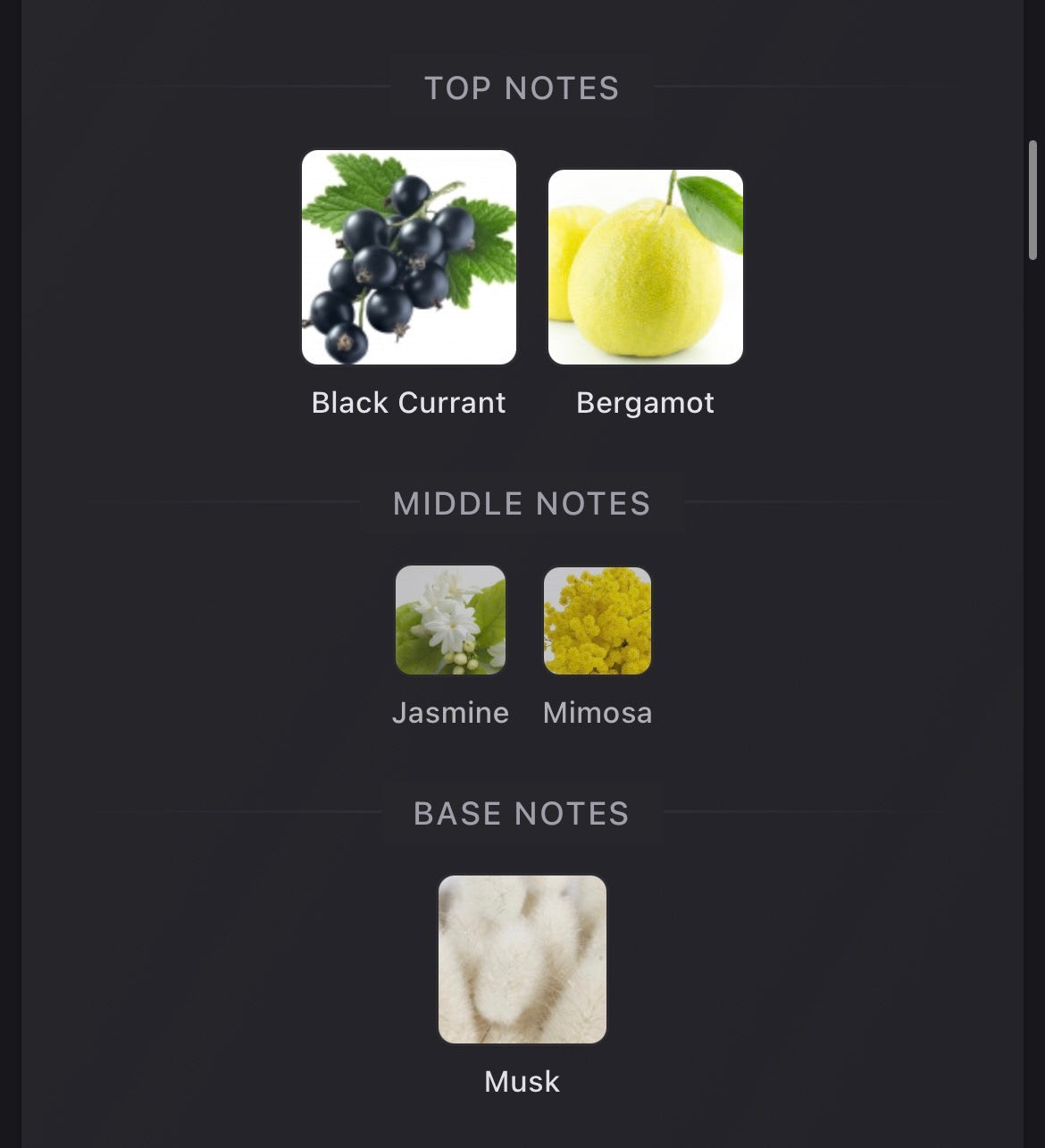 Mfk Aqua Celestia Forte