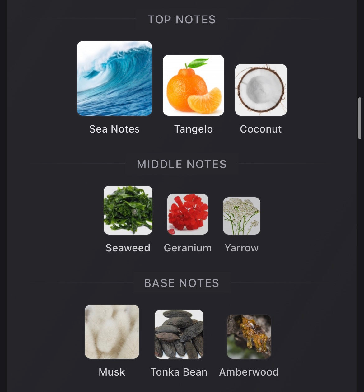 Ocean Noir