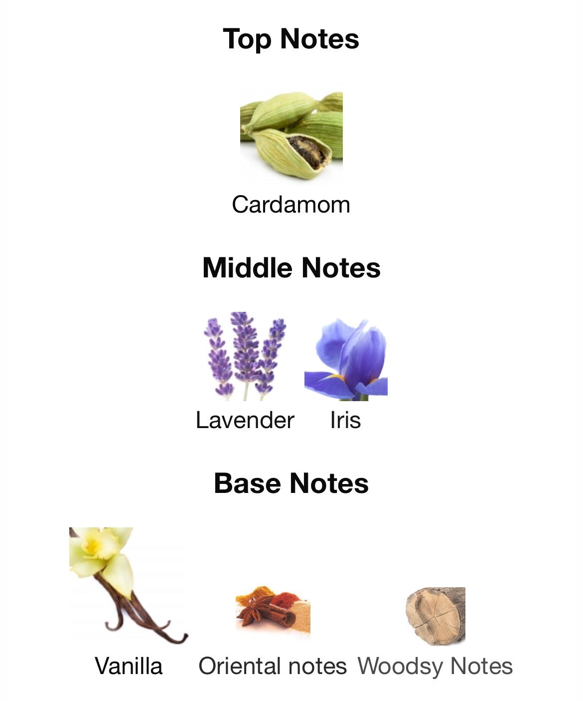 Jpg Le Male Le Parfum