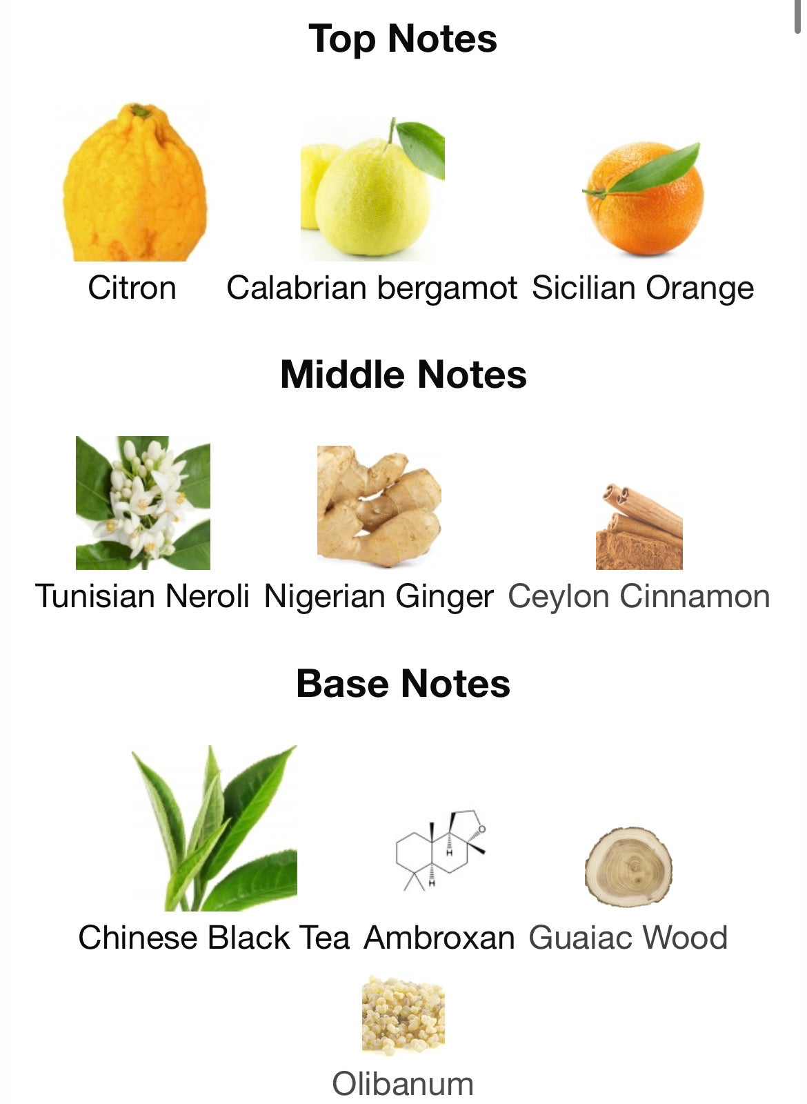 Louis Vuitton Imagination