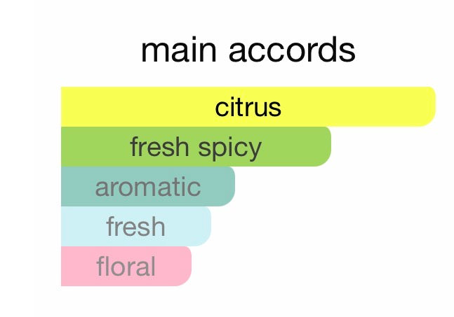 Louis Vuitton Symphony