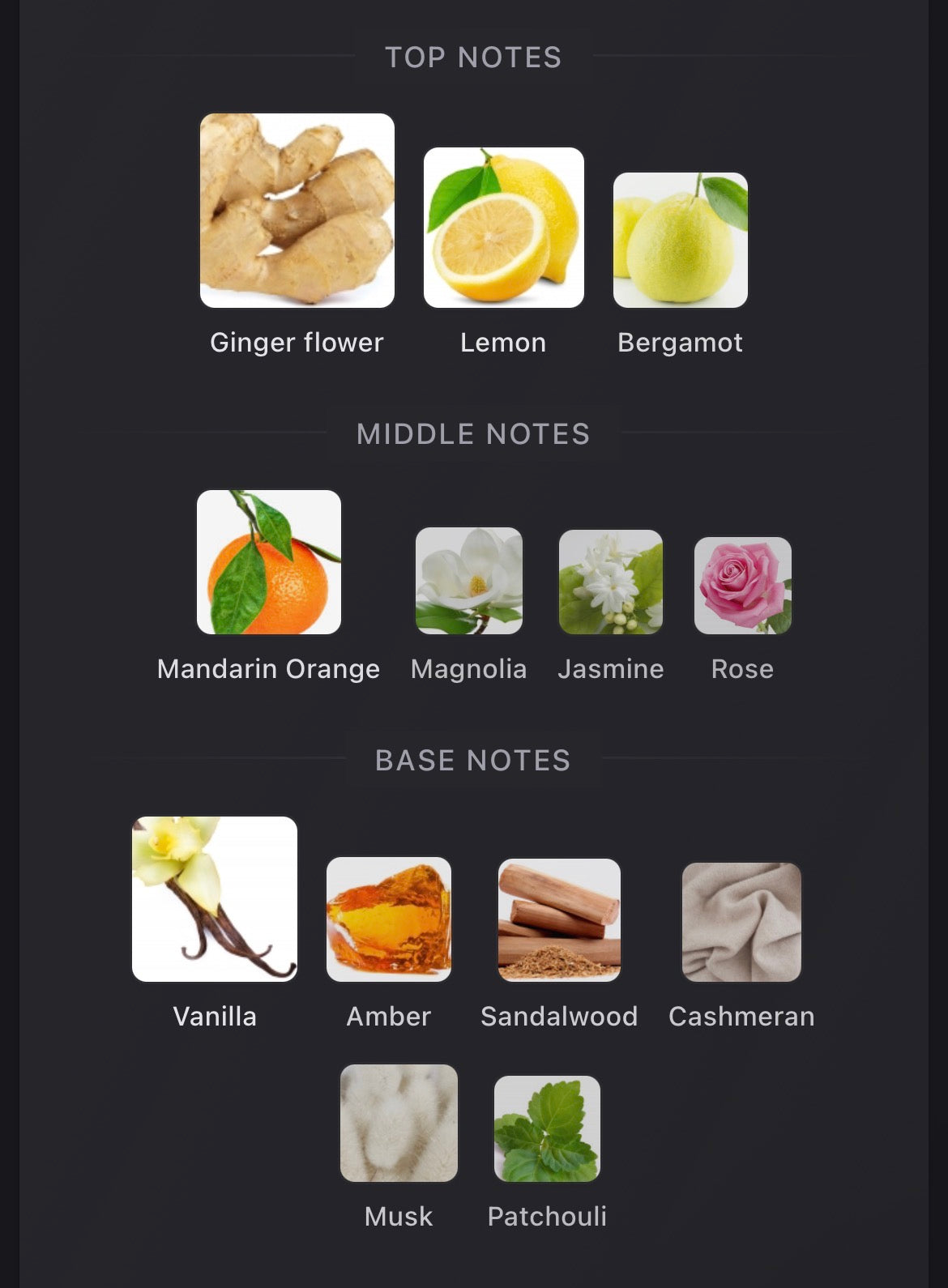 Goldfield and Banks Ingenious Ginger